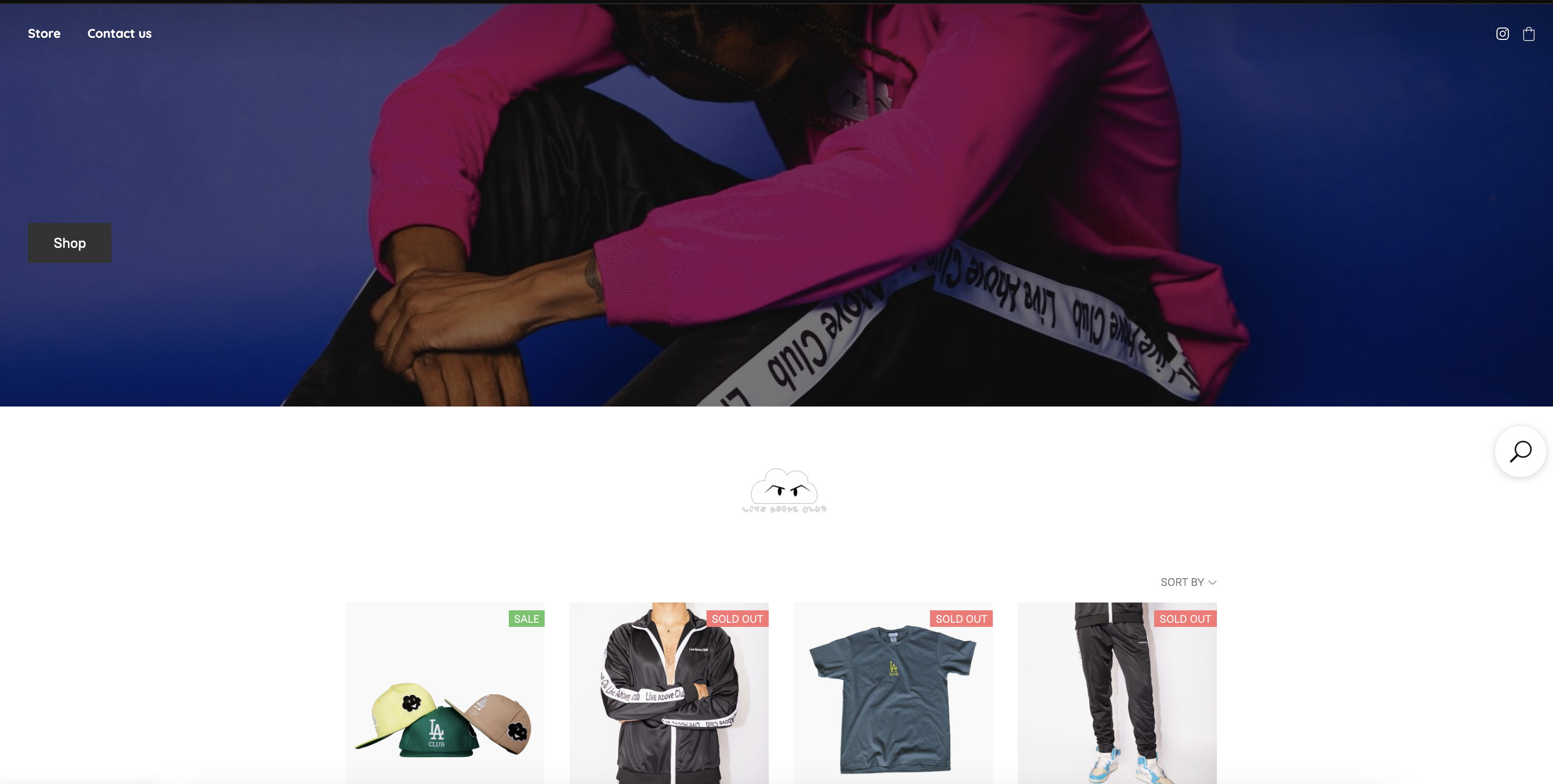 Website Project